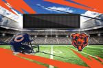 [Personalization Only] Bears